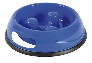 blue dog bowl